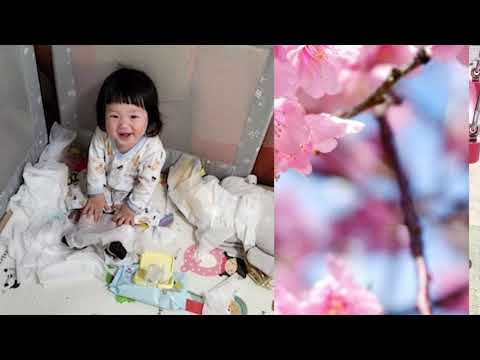 YouTube/広告動画/PR動画の編集承ります 可愛く・かっこよく・丁寧・お洒落に☆彡