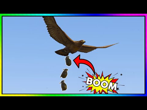 GRANATEN VOGEL IN GTA RP