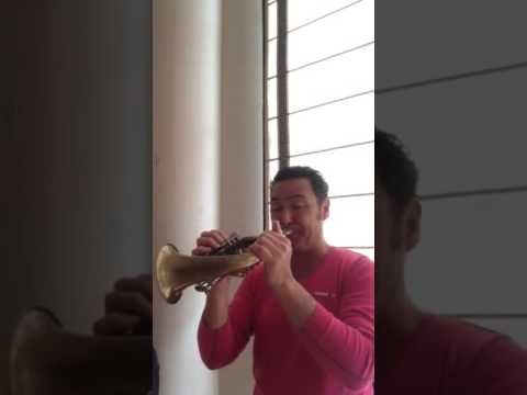 Mahler Sym. 3, Posthorn