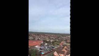 Album cover: Tree removal 