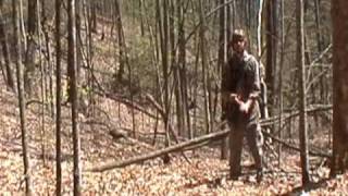 Advice for Setting up on a Gobbler