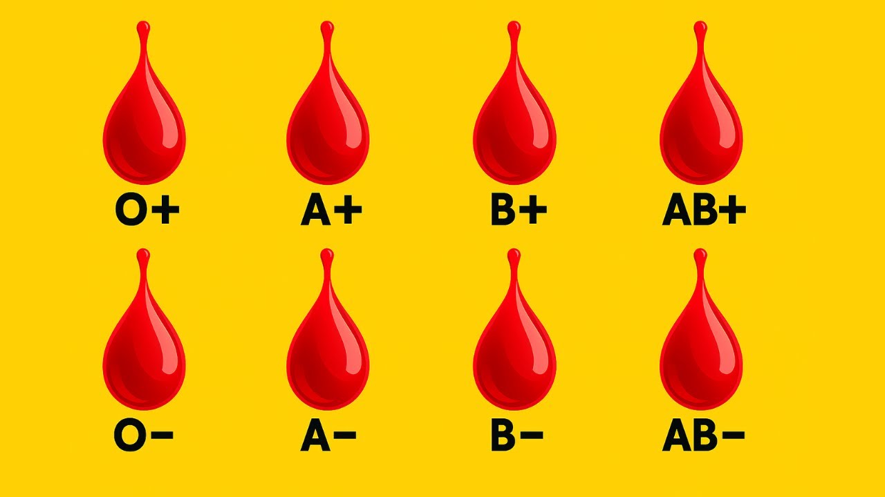 VENTAJAS ocultas según tu TIPO DE SANGRE