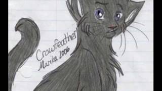 Leafpool and Crowfeather: If love equals nothing