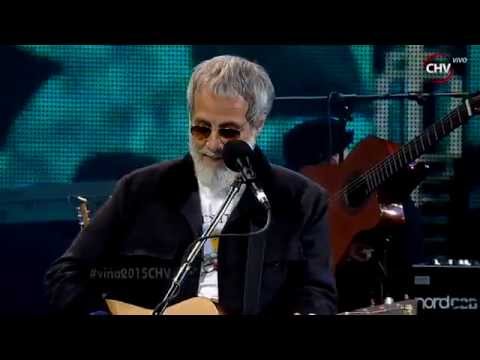 Yusuf Islam Cat Stevens, Festival de Viña del Mar 2015, Somos el Canal Histórico