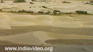 Sand dunes of Nubra Valley