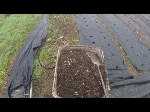 Market Garden Bed Flip with Landscape Fabric