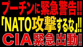 2026/8/28　プーチンに緊急警告!!「NATOを攻撃するな」CIA長官がモスクワ電撃訪問!! 2021年以来の異例事態
