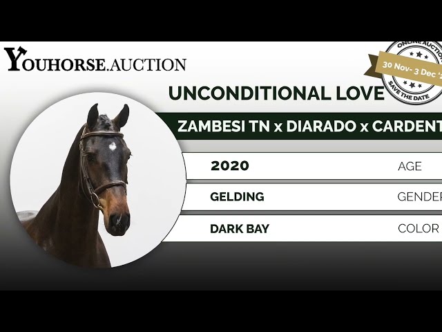 Unconditional Love try out