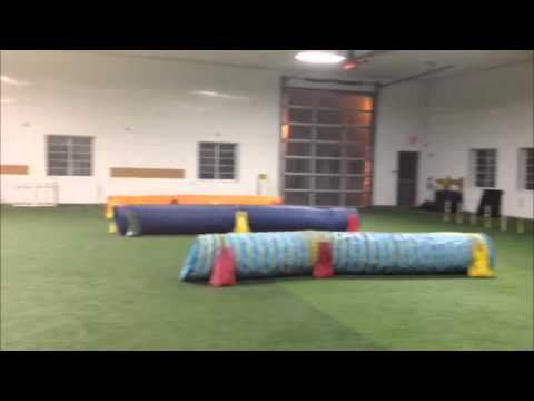 Kayl McCann & Grand Slam - One Mind Dog Weave Challenge!