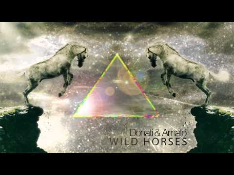 Donati&Amato - Wild Horses