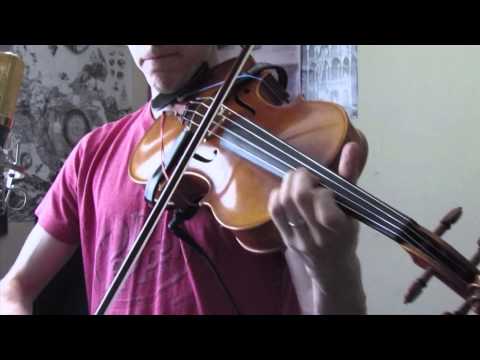 TesseracT | Live Viola Cover | Calabi Yau Sax Solo