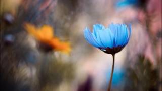 Bobby Vee ✿ Sincerely