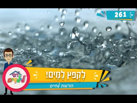 רבי לילדים 261 | לִקְפֹּץ לַמַּיִם! | הוראות לחיים