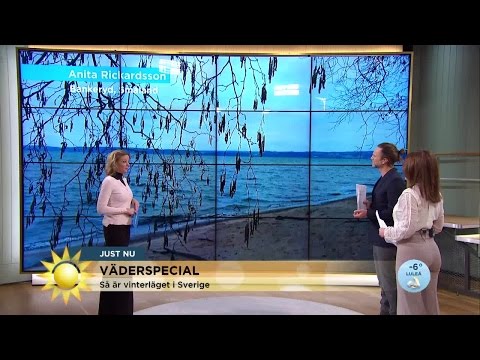 Då kan vårdvädret komma - Nyhetsmorgon (TV4)