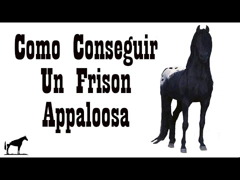 , title : 'El Frison Appaloosa 🐴-Del Cerro Soy'