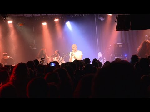 Distorted Harmony - Hollow | Live @ DH FEST 2017