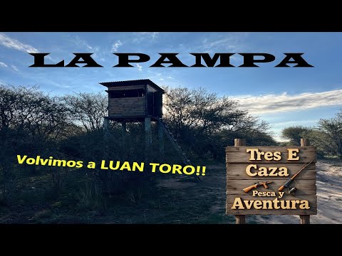 CAZA DE JABALÍ EN LA PAMPA - LUAN TORO 2
