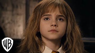 Harry Potter Magical Movie Mode | Wingardium Leviosa | Warner Bros. Entertainment