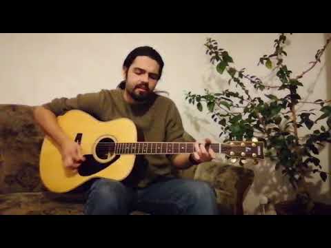 Flying Shoes - Townes Van Zandt