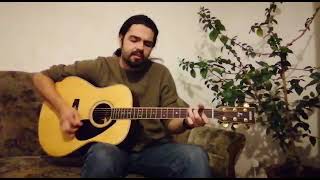Flyin&#39; Shoes, Townes Van Zandt, Cover By David Bezin