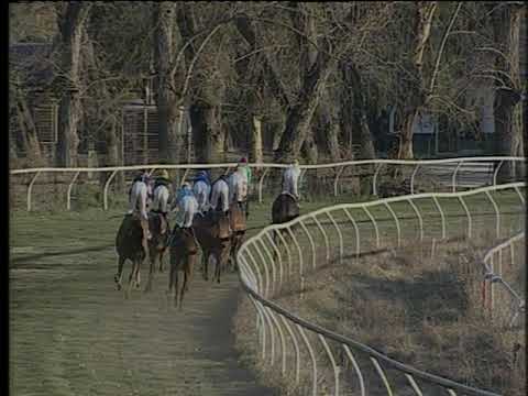 Galoppo 13/01/2020 - 4ª corsa