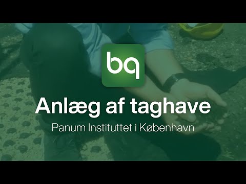 Hør teknisk salgskonsulent Torben Hoffmann beskrive komponenterne og opbygningen af jordbunden på taghaven på Panum Instituttet i København