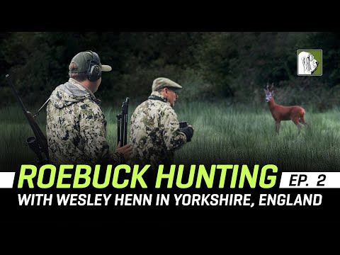 Roebuck Hunting in Yorkshire, England (Ep.2)