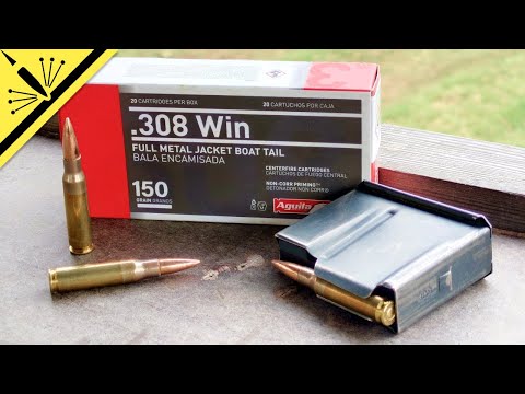 Aguila 308 WIN 150gr FMJ BT Accuracy Test