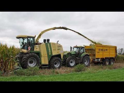 Krone BigX 700 -  Loonw. T'Jampens - mais hakselen