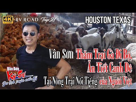 , title : '😊 HOUSTON,TEXAS - Part 7 | Trại Gà Đi Bộ Người Viêt Nổi Tiếng Tại Houston | RV Road Trip 21'