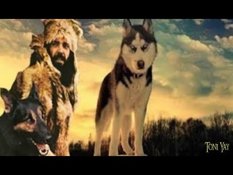 Orso Maria Guerrini ❀ I Wanna Go ☆HD☆