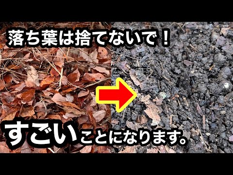 落ち葉のアイデアを再利用する
