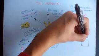 Draw my life: Humanism and Renaissance