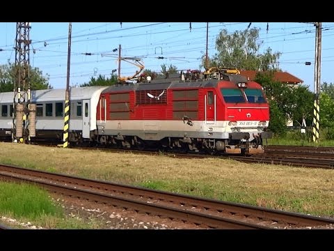 Gorila vs. holuby ZSSK 350.003 Gorila @ EC272 Avala - Bratislava-Vajnory