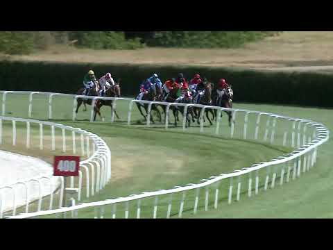 2021.09.19. 01. futam - KEZDŐ LOVAK VERSENYE (IV.kat.)