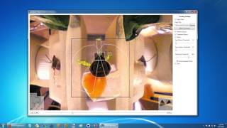Install Tutorial for SwarmSight Insect Antenna and Proboscis Extension Reflex Tracking Software