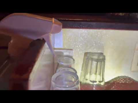 Dirty Bar Area Infested with Cockroaches in Sea Girt, NJ