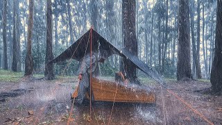 CAMPING HEAVY RAIN in the forest || RELAXING CAMPING HEAVY RAIN
