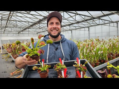 Happy Morning LiveStream aus der Gärtnerei #314