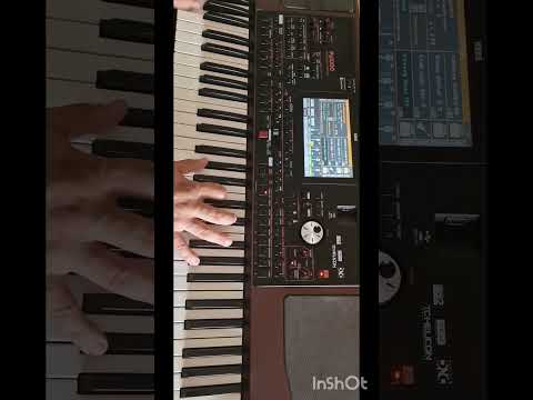 Set Manual korg pa1000