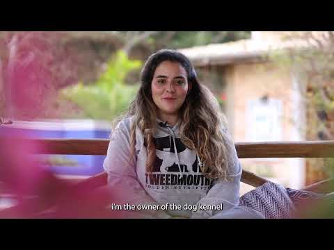 Vídeo: tour pelo canil TM Goldens em Cotia, SP — conheça a estrutura onde criamos nossos Golden Retrievers