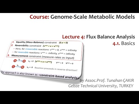 Lecture 4.1 - Basics of Flux Balance Analysis | Genome Scale Metabolic Models