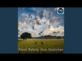 Nocturne No. 2 in C sharp minor, Op. 74 in C-Sharp Minor