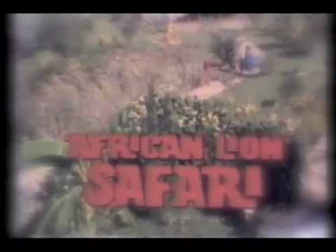 회사AUTO - free trade