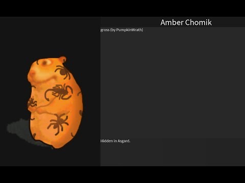Find The Chomiks | Amber Chomik