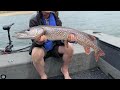 Video Thumbnail for How to Clean a Northern Pike