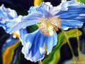Дуэт ДЗА ПИНАЦ - Маленький цветок (Petite Fleur) 