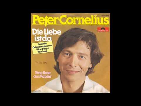 Cornelius Peter - Eine Rose aus Papier