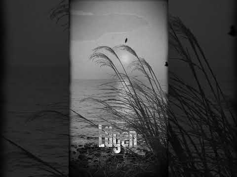 Meine Ehrlichkeit? Ich mag dein Lügen auch nicht💯