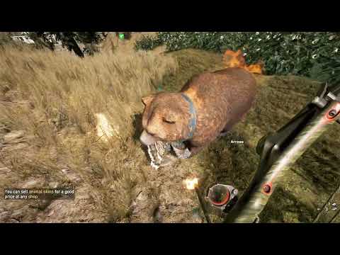 🐺The best far cry 5 hunting spot in my opinion!!!!🐺